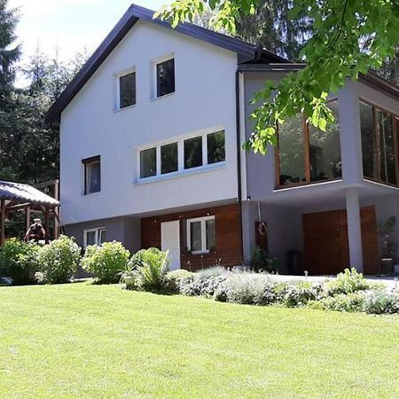 Villa-Apartments Bognar Velika Bagian luar foto